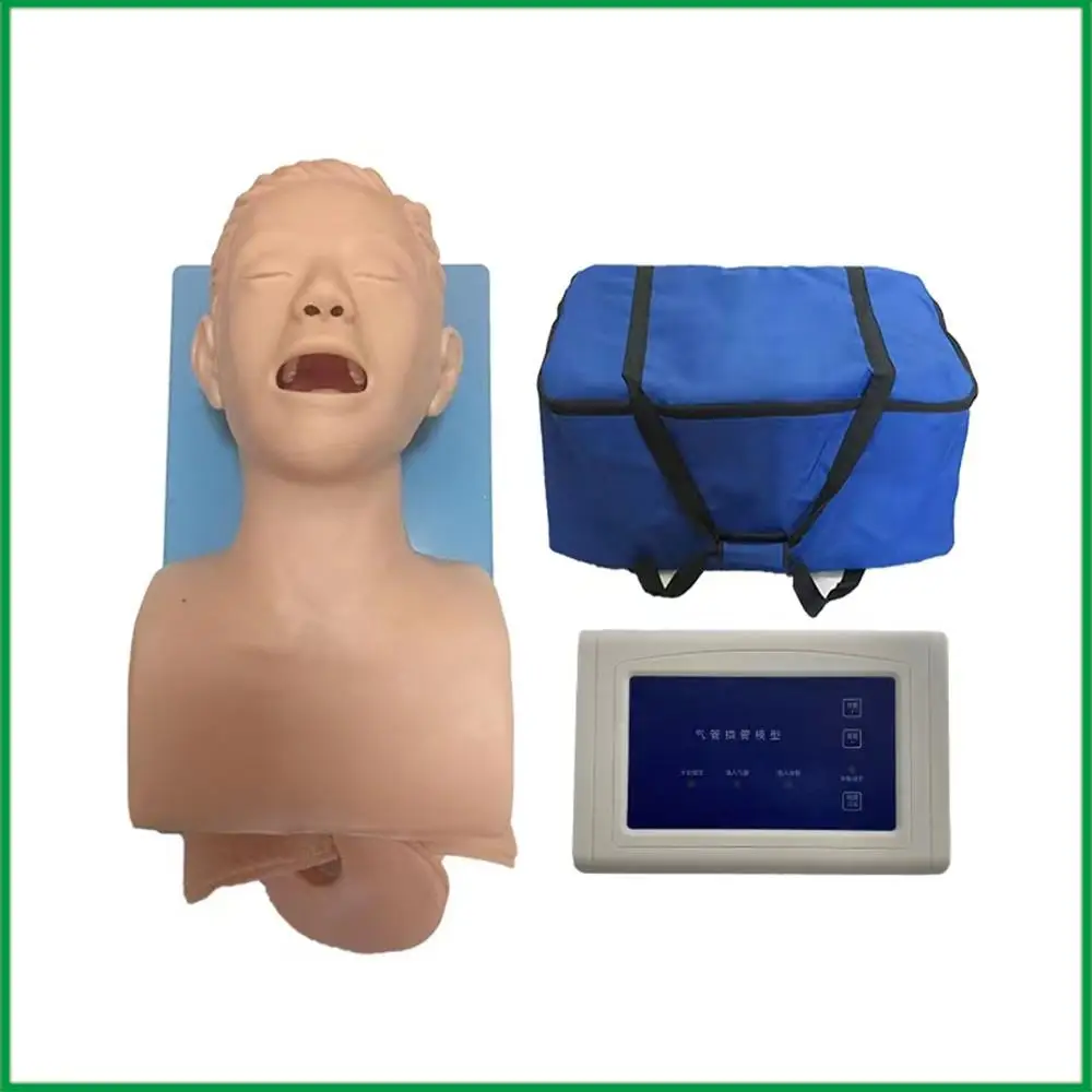 Model Pengajaran Manikin Intubasi Trainer Manajemen Jalan Napas PVC dengan Gigi
Model Pengajaran Manikin Intubasi Trainer Manajemen Jalan Napas PVC dengan Gigi