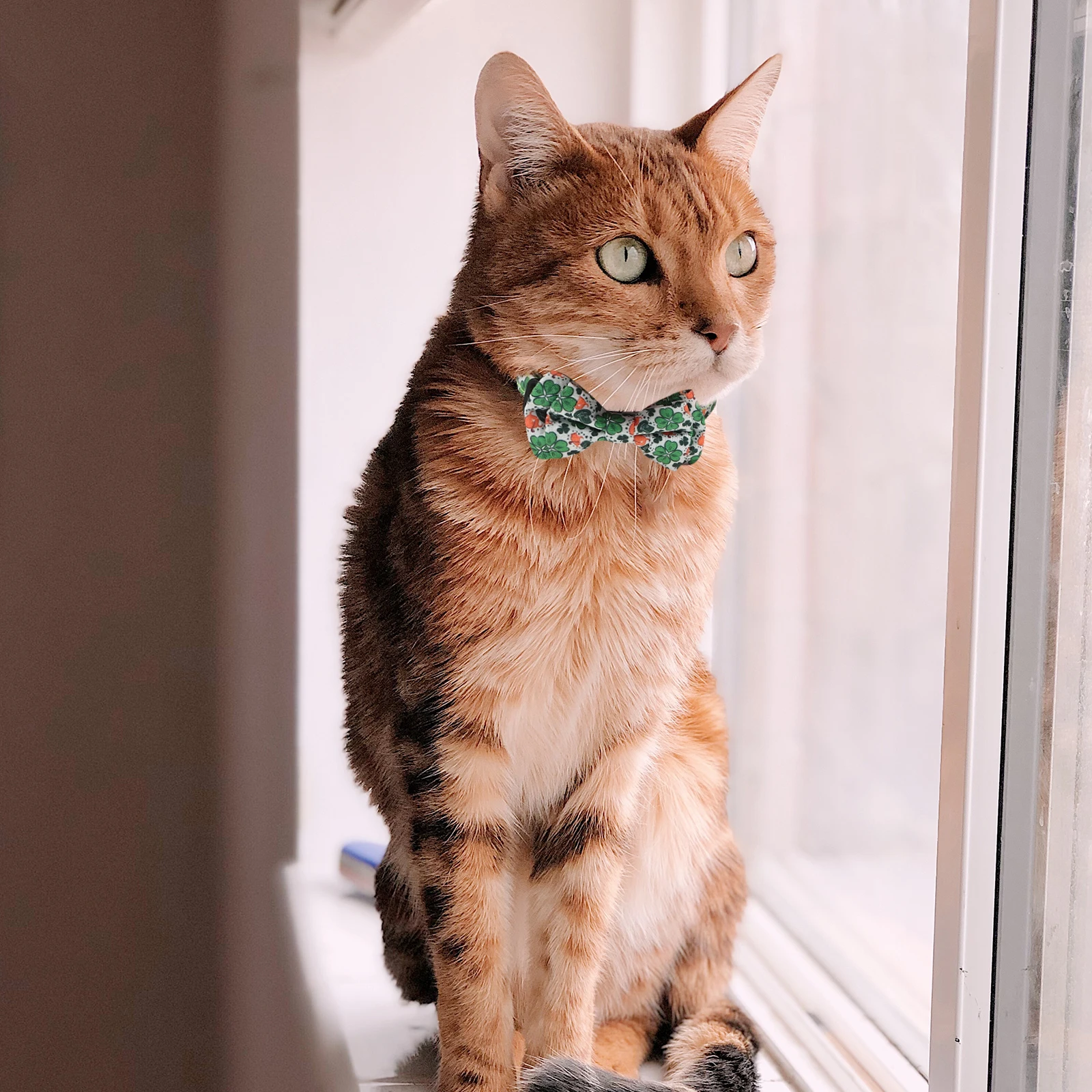 Kitten Cloth Pet Neck Decor Kitten Bow Knot Cat Collar Adjustable Size Daily Adorable Pet Cat Collar Party Photos
Kitten Cloth Pet Neck Decor Kitten Bow Knot Cat Collar Adjustable Size Daily Adorable Pet Cat Collar Party Photos