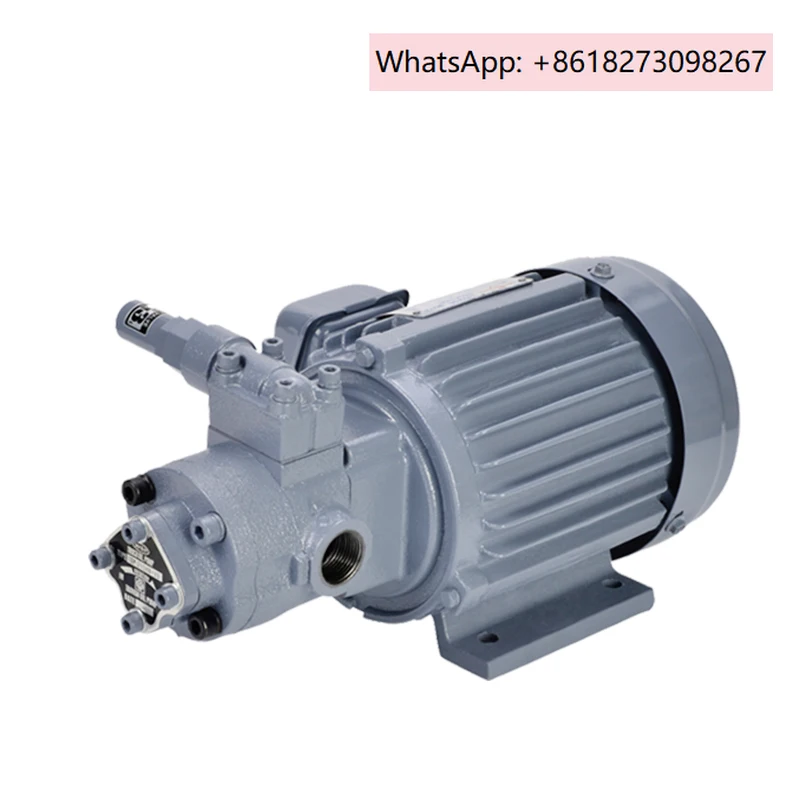 TOP-208HB 380 В Гидравлический масляный шестеренный насос Треугольный двигатель Масляный насос Комплект двигателей 400 Вт TOP-212
TOP-208HB 380 В Гидравлический масляный шестеренный насос Треугольный двигатель Масляный насос Комплект двигателей 400 Вт TOP-212