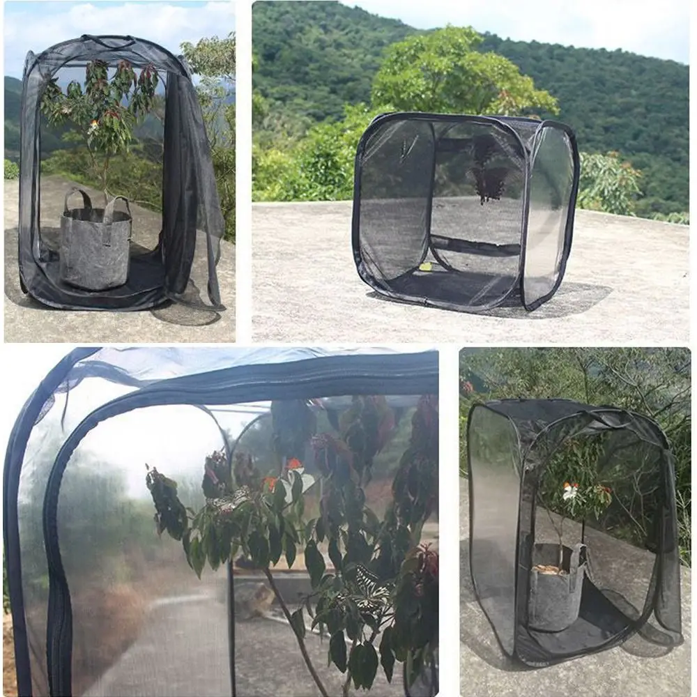 Durable Black Butterfly Habitat Collapsible Outdoor Sunroom Net Cloth Mesh Cages Butterfly Terrarium
Durable Black Butterfly Habitat Collapsible Outdoor Sunroom Net Cloth Mesh Cages Butterfly Terrarium