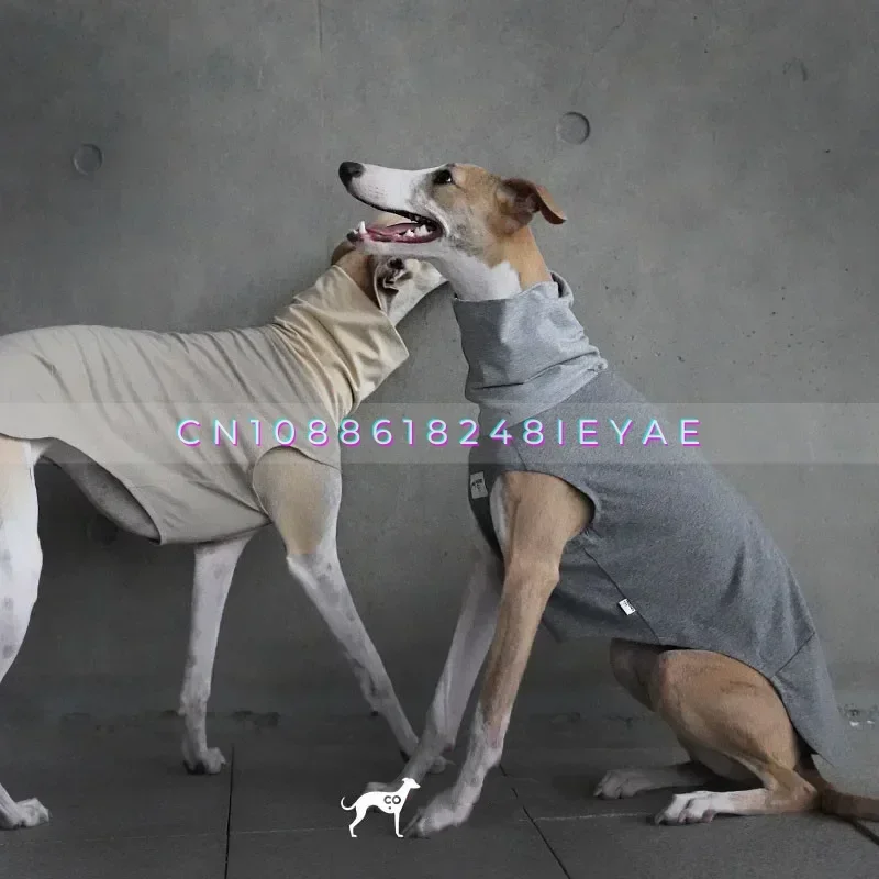 Легкая футболка для домашних животных Whibit Greyhound, одежда для маленьких и средних собак, Ropa Para Perros, аксессуары для собак, одежда для щенков
Легкая футболка для домашних животных Whibit Greyhound, одежда для маленьких и средних собак, Ropa Para Perros, аксессуары для собак, одежда для щенков
