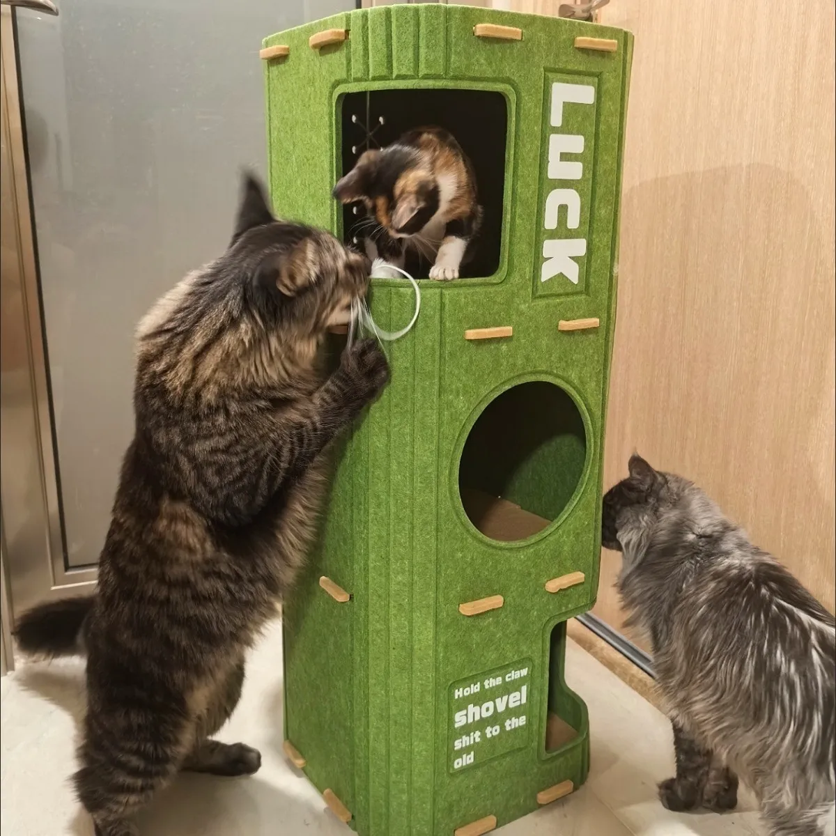 Multi-layer litter, four-season universal climbing frame, tree integrated tree hole, winter double-layer scratch
Multi-layer litter, four-season universal climbing frame, tree integrated tree hole, winter double-layer scratch
