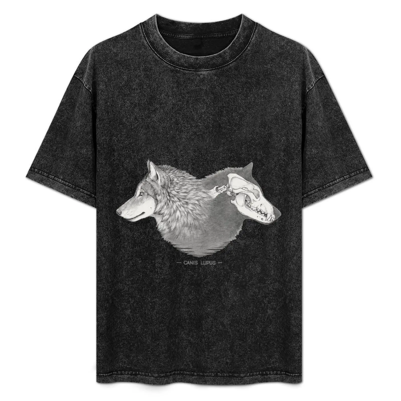 Canis lupus T-Shirt Everyday Wear Basic Short Sleeve Top
Canis lupus T-Shirt Everyday Wear Basic Short Sleeve Top