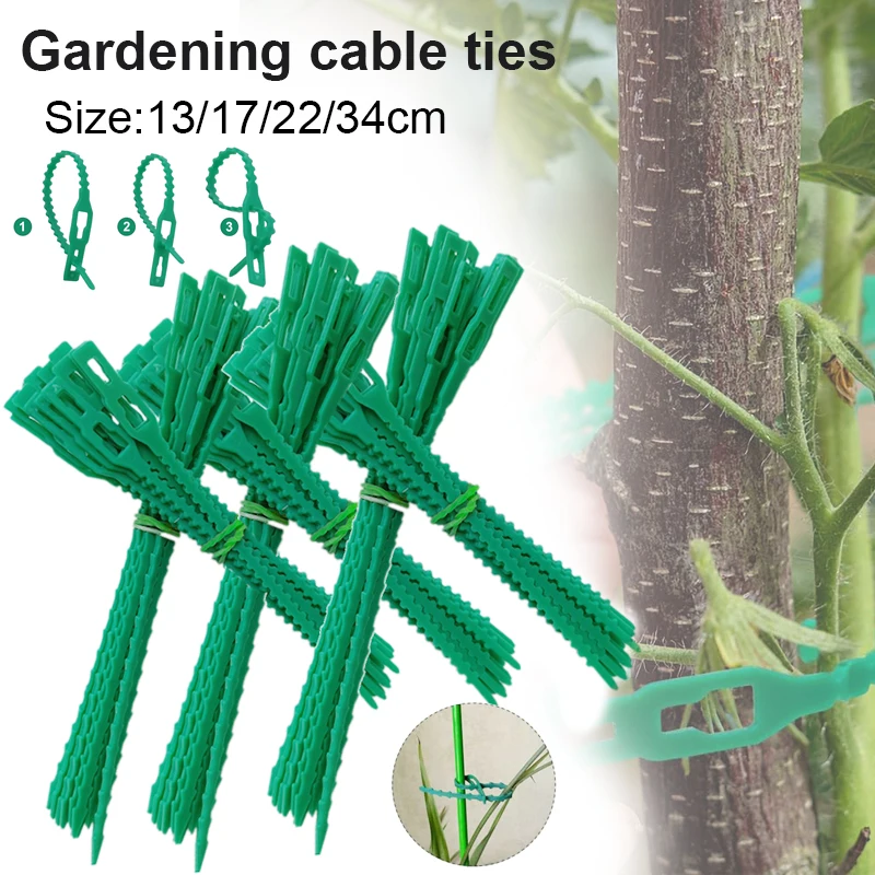 10-100pcs adjustable garden plant twisted strap, 13/17/22/34cm elastic plastic twisted strap multi-purpose safety vine (green)
10-100pcs adjustable garden plant twisted strap, 13/17/22/34cm elastic plastic twisted strap multi-purpose safety vine (green)