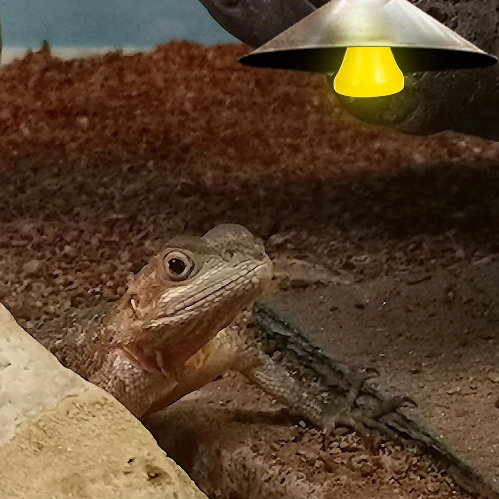 Ceramic Reptile Heating Lamp 100W Durable Metal Heat Bulb for Reptile Terrarium Safe Heating Light Heat Lamp Bulb 
Ceramic Reptile Heating Lamp 100W Durable Metal Heat Bulb for Reptile Terrarium Safe Heating Light Heat Lamp Bulb