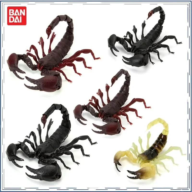 BANDAI Scorpion Red Claw Emperor Scorpion Biological Encyclopedia Gashapon Anime Genuine Action Figure Model Toys
BANDAI Scorpion Red Claw Emperor Scorpion Biological Encyclopedia Gashapon Anime Genuine Action Figure Model Toys