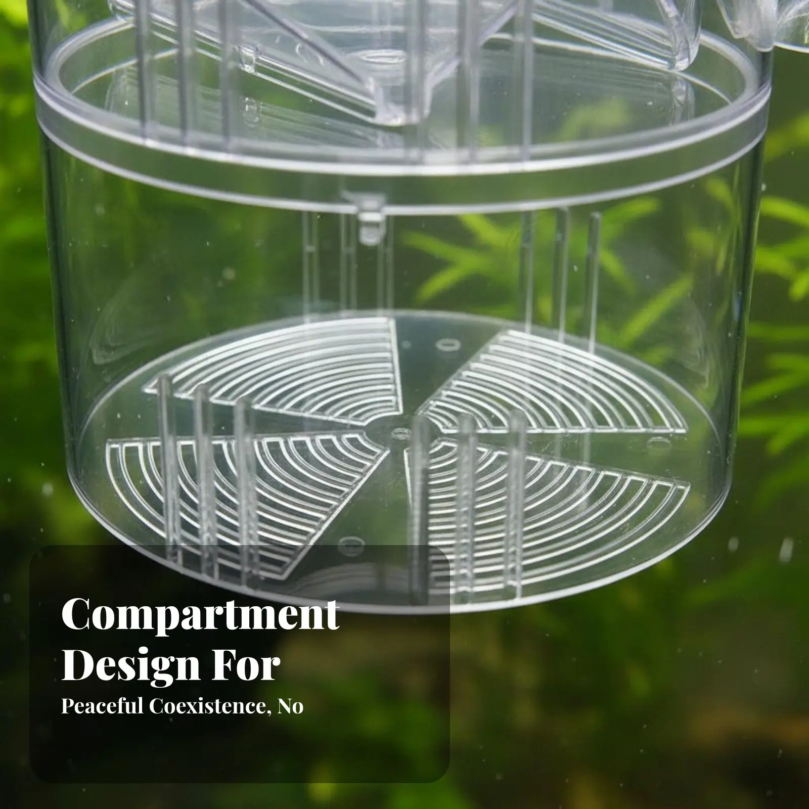 Aquatic Breeder Box Suction Holder Mount Buoyant Aquatic Breeding Box Multifunctional Easy to Clean for Aquarists
Aquatic Breeder Box Suction Holder Mount Buoyant Aquatic Breeding Box Multifunctional Easy to Clean for Aquarists