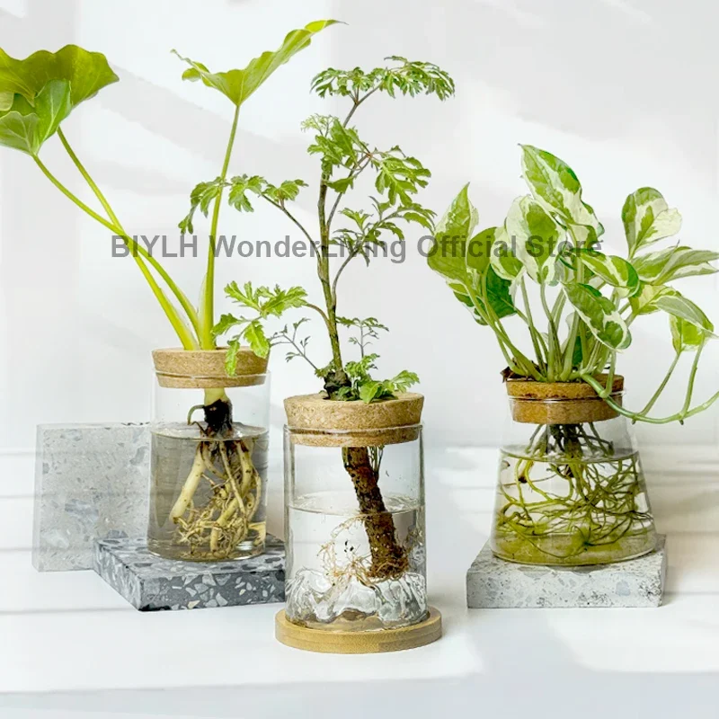 Glass Plant Pot Hydroponic Plants Flower Pot Interior Decorative Planters Transparent Flower Vase Decor Home Garden Accessories
Glass Plant Pot Hydroponic Plants Flower Pot Interior Decorative Planters Transparent Flower Vase Decor Home Garden Accessories