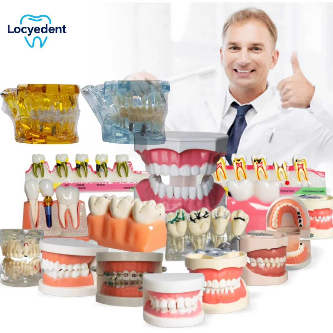 Dental Teeth Model Implant Removable Education Model Laboratory Demo Teaching Study Dentistry Products Tool
Dental Teeth Model Implant Removable Education Model Laboratory Demo Teaching Study Dentistry Products Tool