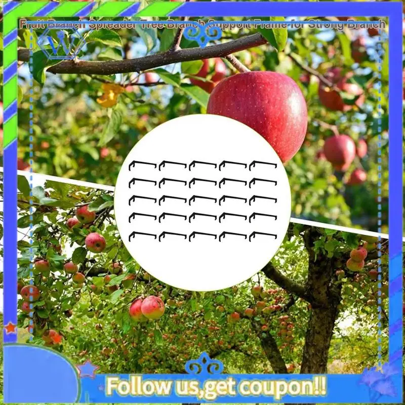 25 Pieces Tree Branch Spreader, Tree Branch Support Frame For Strong Branch On Apples And Other Fruit Trees Easy To Use
25 Pieces Tree Branch Spreader, Tree Branch Support Frame For Strong Branch On Apples And Other Fruit Trees Easy To Use