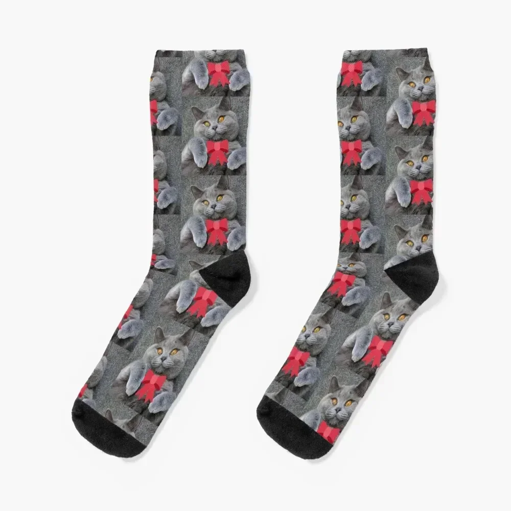 British Shorthair cat Socks Hiking boots with print winter thermal crazy Men's Socks Luxury Women's
British Shorthair cat Socks Hiking boots with print winter thermal crazy Men's Socks Luxury Women's