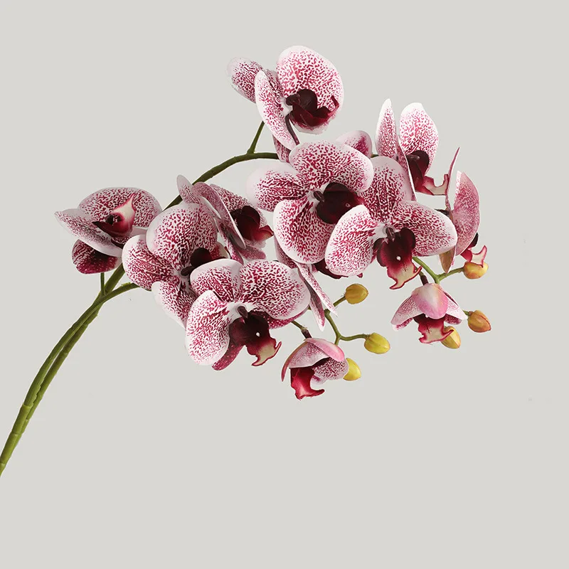 6 Heads Simulation 3D Phalaenopsis Silk Orchid Christmas Decoration for Home Vases Wedding Decor Artificial Flowers Fake Plants
6 Heads Simulation 3D Phalaenopsis Silk Orchid Christmas Decoration for Home Vases Wedding Decor Artificial Flowers Fake Plants