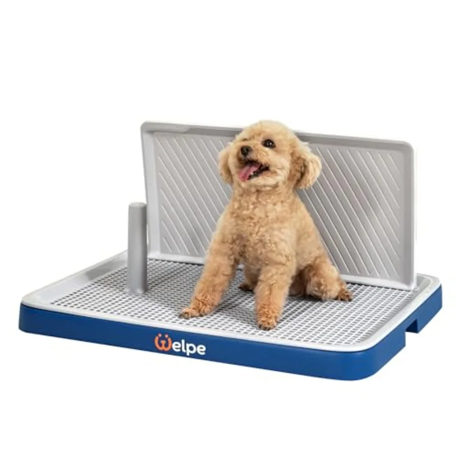 Dog Potty Tray with Pee Pad Holder - Perfect Indoor Potty Training Solution for Small and Medium Dogs. Say Goodbye to Messy Flo
Dog Potty Tray with Pee Pad Holder - Perfect Indoor Potty Training Solution for Small and Medium Dogs. Say Goodbye to Messy Flo