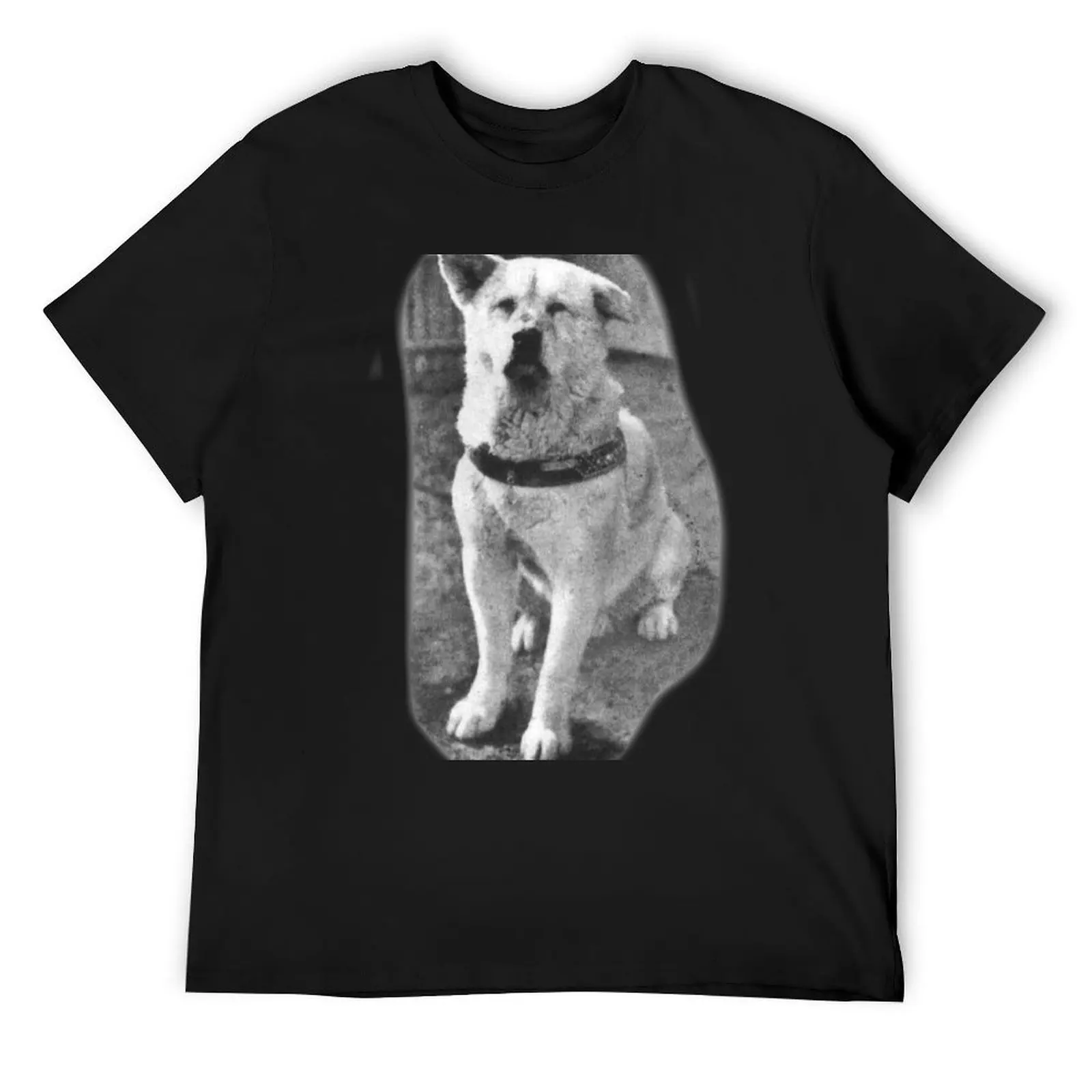 Hachiko Japanese Akita T-Shirt graphic shirts basketball graphic tees graphic tee shirt street wear mens t shirts casual stylish
Hachiko Japanese Akita T-Shirt graphic shirts basketball graphic tees graphic tee shirt street wear mens t shirts casual stylish