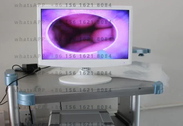 Canine Visual Infusion- System Visual Artificial Insemination Dog
Canine Visual Infusion- System Visual Artificial Insemination Dog