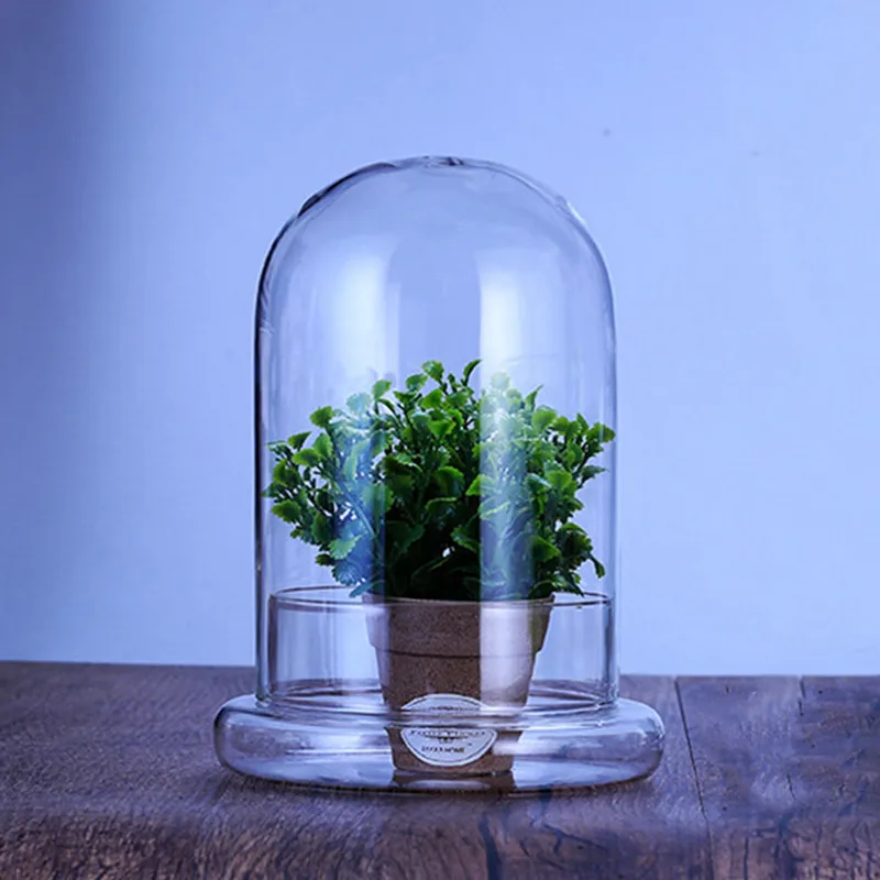 2sets/pack 15*30cm Transparent Split Glass Dome Vase Valentine's Day Gift Flower Succulent Display Cover Microlandscape Jar Bell
2sets/pack 15*30cm Transparent Split Glass Dome Vase Valentine's Day Gift Flower Succulent Display Cover Microlandscape Jar Bell