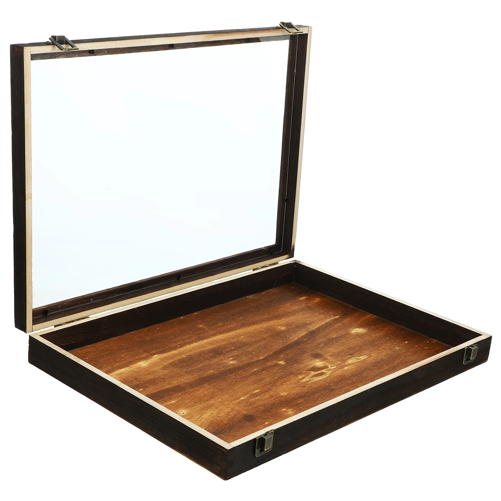 Display Case Butterfly Specimen Box Vintage Insect Container Dried Flowers Brown Boxes for Storage
Display Case Butterfly Specimen Box Vintage Insect Container Dried Flowers Brown Boxes for Storage