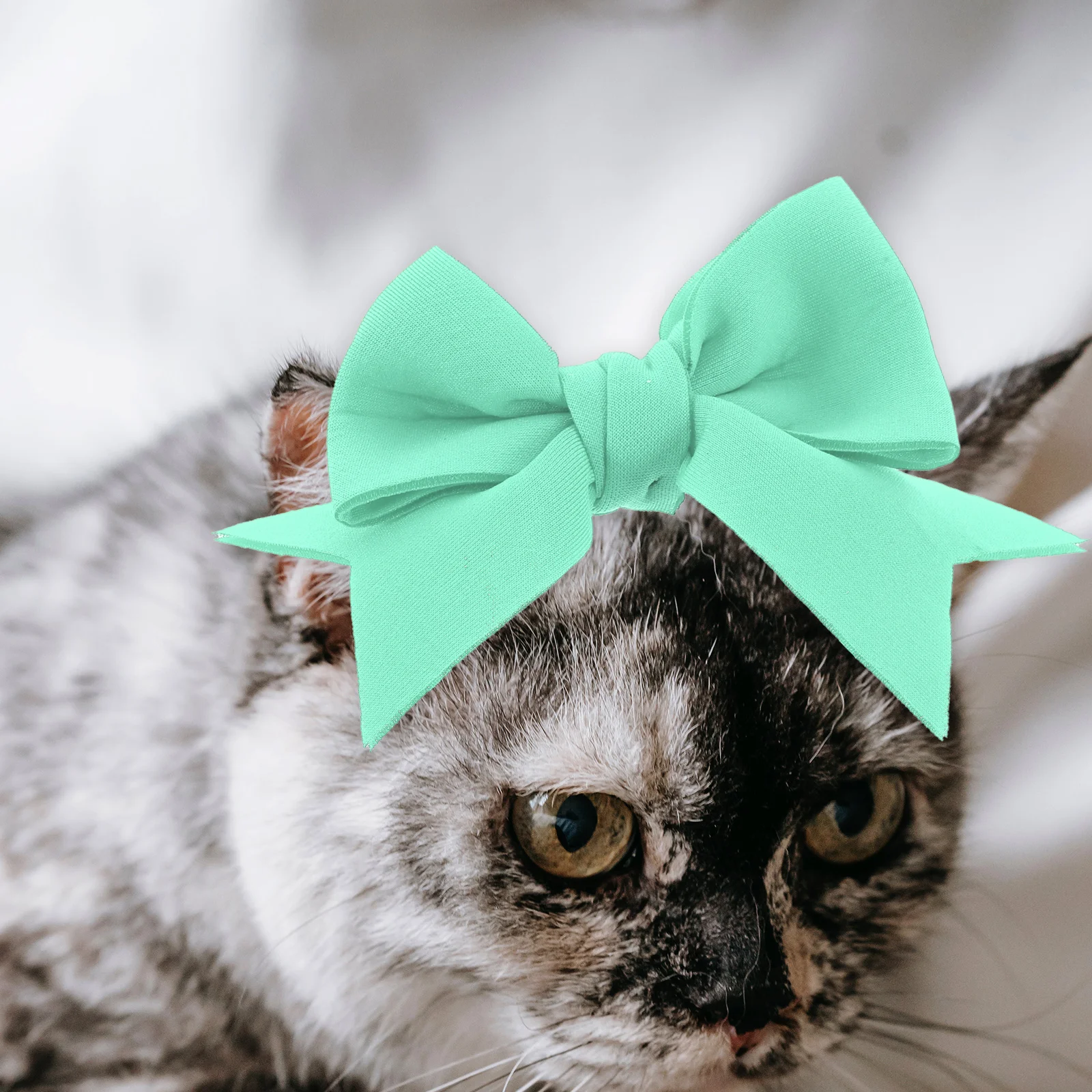 9 Pieces Puppy Hair Bows Cute Dog Headband Decor for Small Pets Party Carnival Celebration Dog Headband Pet Hair Bow Props
9 Pieces Puppy Hair Bows Cute Dog Headband Decor for Small Pets Party Carnival Celebration Dog Headband Pet Hair Bow Props