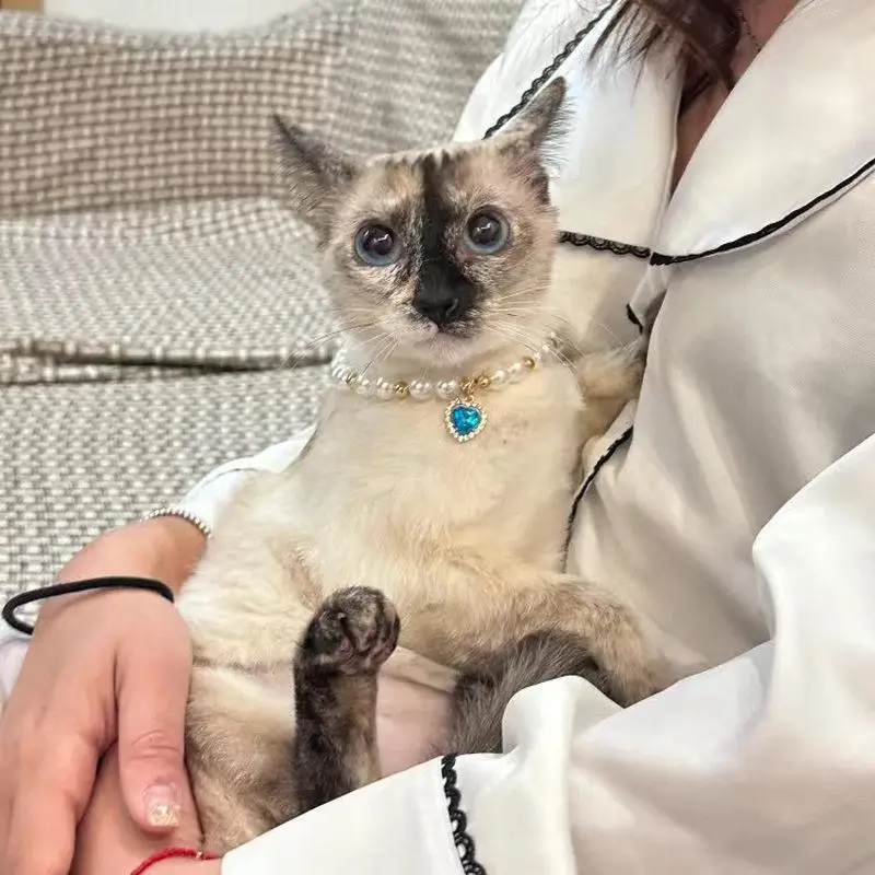 Universal Pearl Pendant Pet Leash for Cats Siamese Maine Coon Devon Rex Accessories Necklace Dog Walking Supplies
Universal Pearl Pendant Pet Leash for Cats Siamese Maine Coon Devon Rex Accessories Necklace Dog Walking Supplies