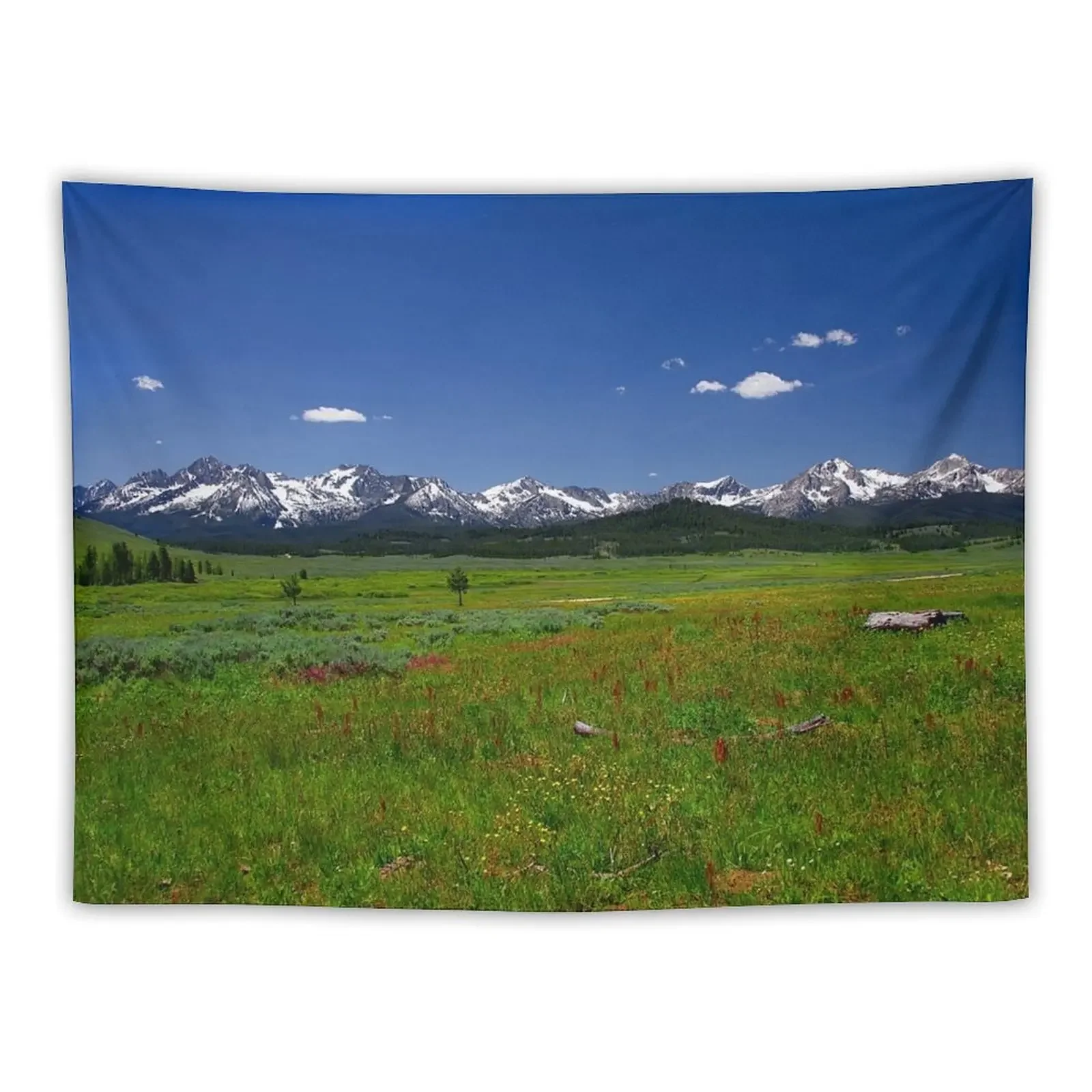 850_1903 Tapestry Luxury Living Room Decoration House Decoration Room Aesthetic Decor Tapestry
850_1903 Tapestry Luxury Living Room Decoration House Decoration Room Aesthetic Decor Tapestry