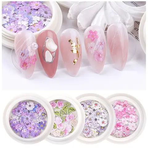 Vernis à ongles couleur mixte fleur pâte de bois pièce petite marguerite Rose frais pastorale ongles fleur séchée Patch bricolage Nail Art décoration
