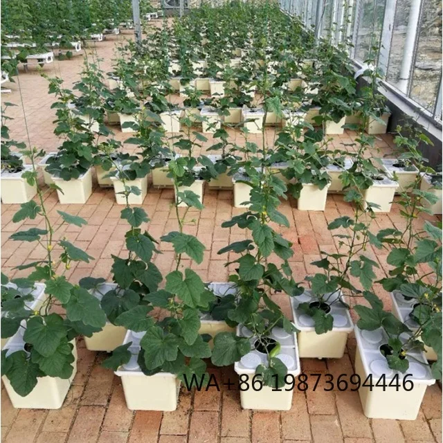 Complete Indoor Hydroponic Greenhouse, Aeroponic Dutch Bucket for Tomatoes
Complete Indoor Hydroponic Greenhouse, Aeroponic Dutch Bucket for Tomatoes