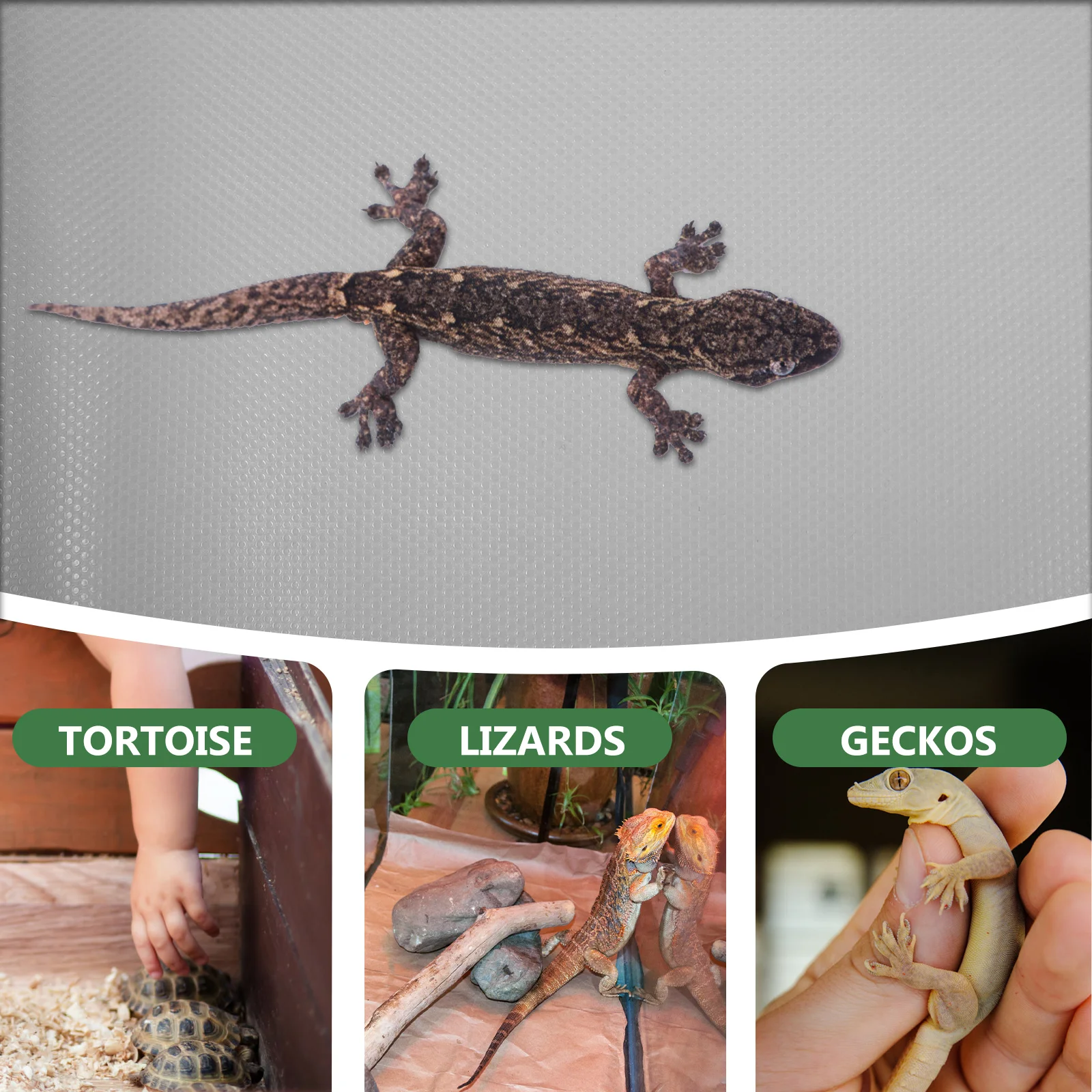 EVA Carpet 200x45cm Terrarium Substrate for Lizards Tortoises Geckos Snake Bedding Mat Soft Comfortable Reptile for Reptile
EVA Carpet 200x45cm Terrarium Substrate for Lizards Tortoises Geckos Snake Bedding Mat Soft Comfortable Reptile for Reptile