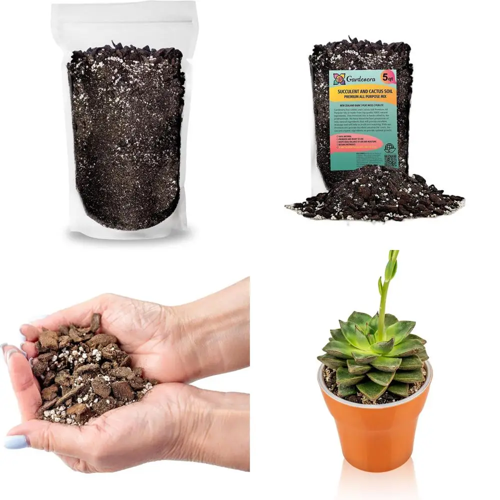 Универсальная смесь грунта для суккулентов | Готовый к использованию для кактусов и суккулентов | Мох сфагнум, перлит, сосновая кора - 20 кварт
Универсальная смесь грунта для суккулентов | Готовый к использованию для кактусов и суккулентов | Мох сфагнум, перлит, сосновая кора - 20 кварт