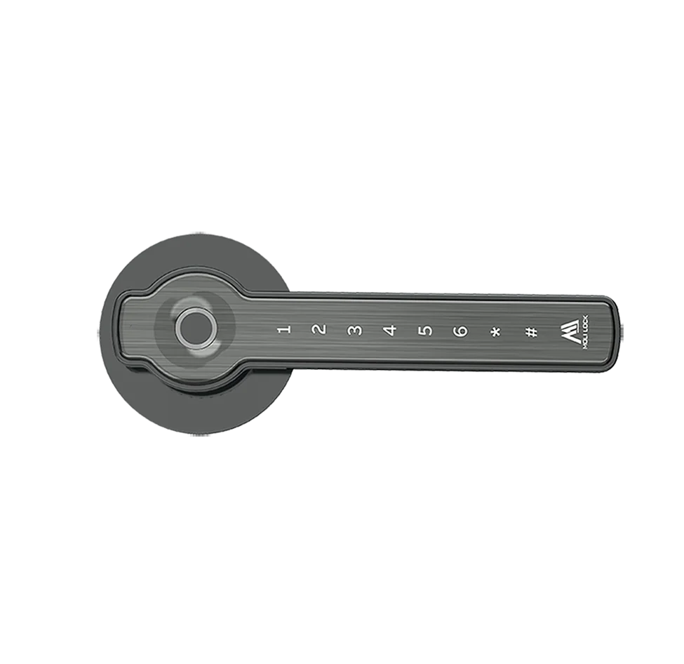 Moli Electronic App Door Lock, Security Intelligent Smart Digital Wifi Code Door Lock
Moli Electronic App Door Lock, Security Intelligent Smart Digital Wifi Code Door Lock