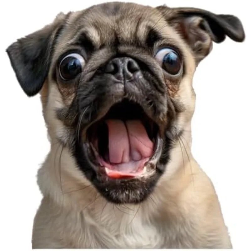 Funny 3D Pug Peeking Decal Sticker - Peeking Dog Window Pug Decal, 3D Effect Dog Decal Auto Accessories 5CM PVC KK
Funny 3D Pug Peeking Decal Sticker - Peeking Dog Window Pug Decal, 3D Effect Dog Decal Auto Accessories 5CM PVC KK