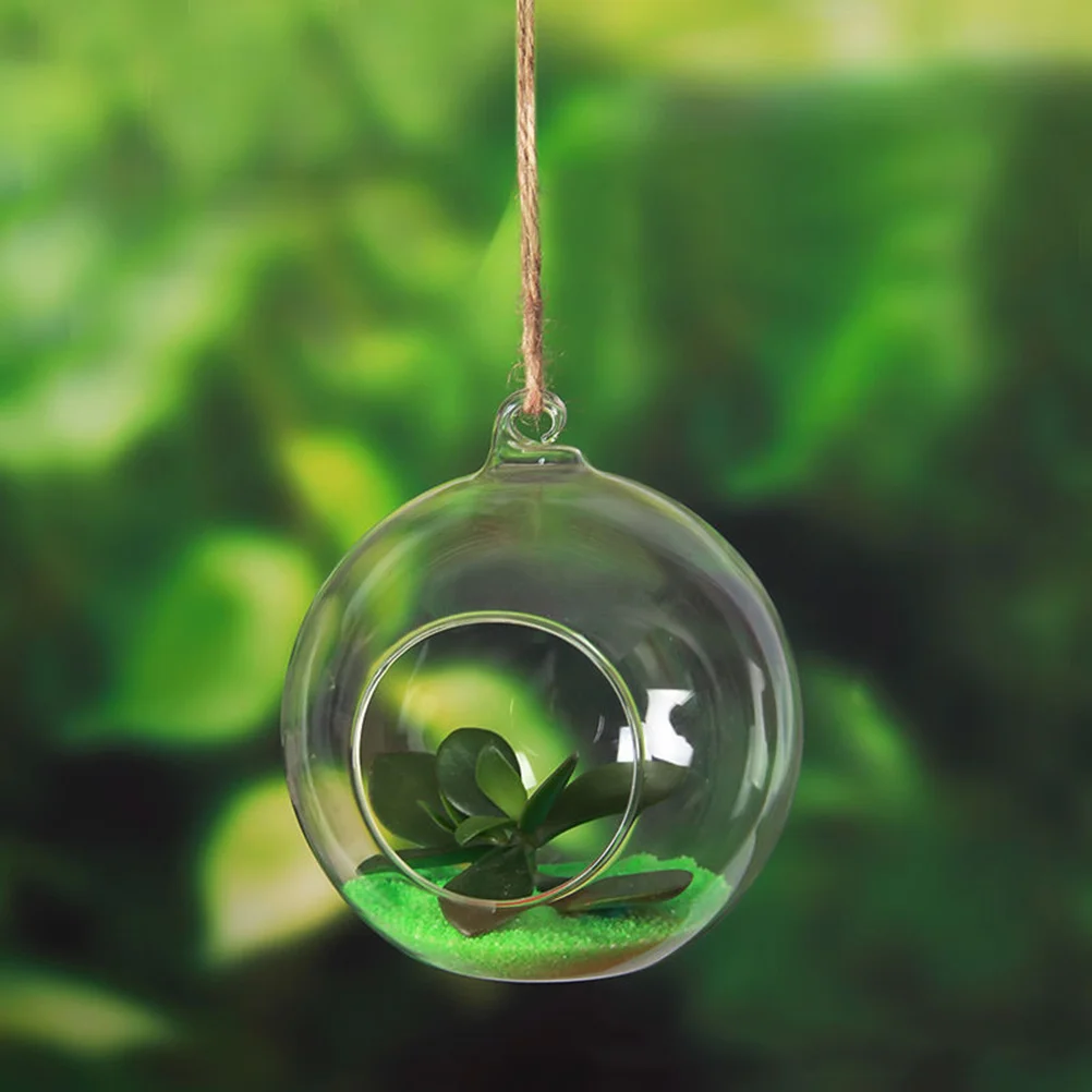 Hanging Glass Terrarium Transparent Planter Vase for Succulent Air Plants Indoor Home Decor Perfect Hanging Micro Garden
Hanging Glass Terrarium Transparent Planter Vase for Succulent Air Plants Indoor Home Decor Perfect Hanging Micro Garden