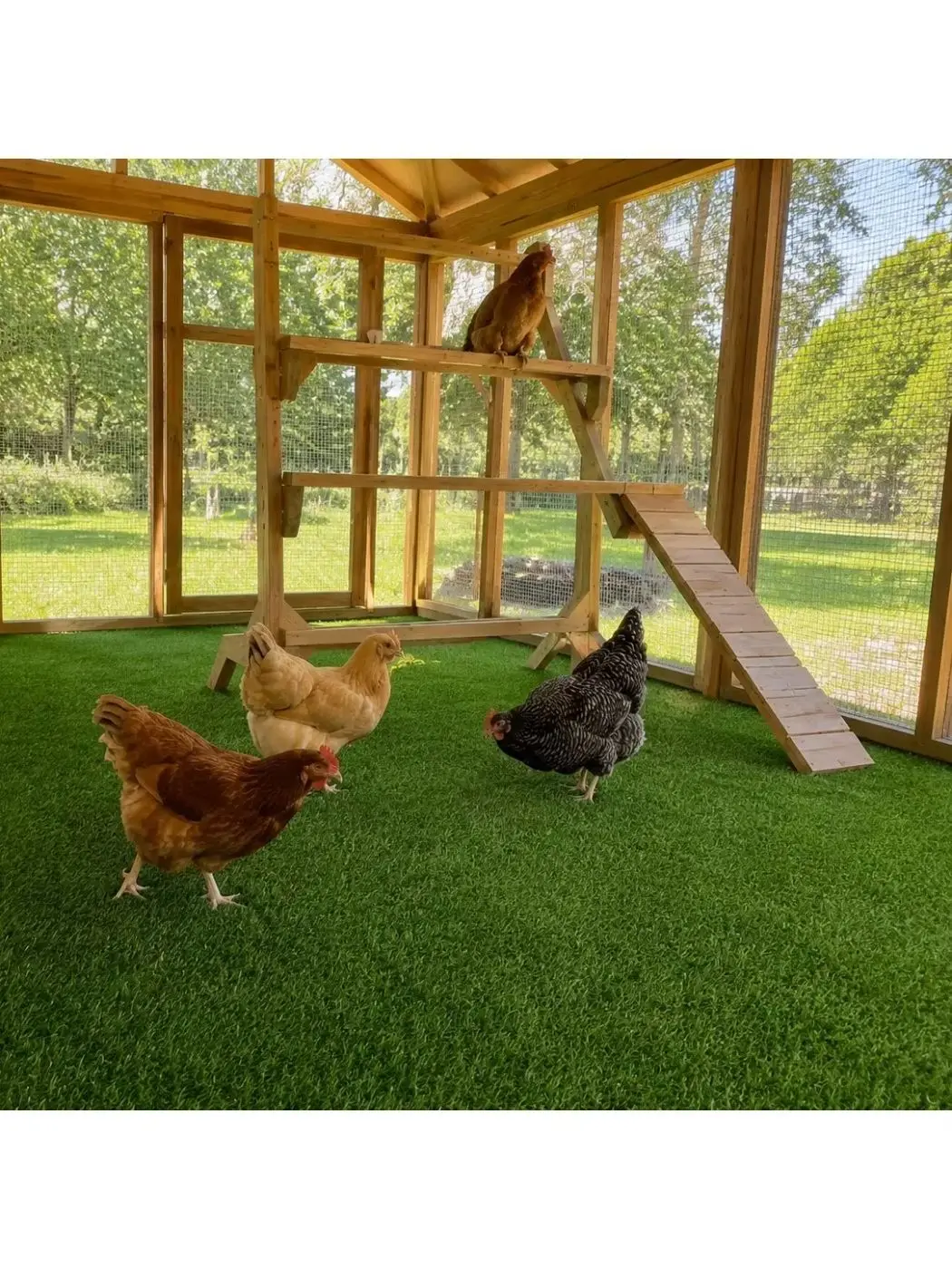 5FT x 10/15/20FT Artificial Grass Mat, 0.4" Pile Height, Indoor & Outdoor Use, Perfect for Terraces, Gardens & Pet Areas
5FT x 10/15/20FT Artificial Grass Mat, 0.4" Pile Height, Indoor & Outdoor Use, Perfect for Terraces, Gardens & Pet Areas