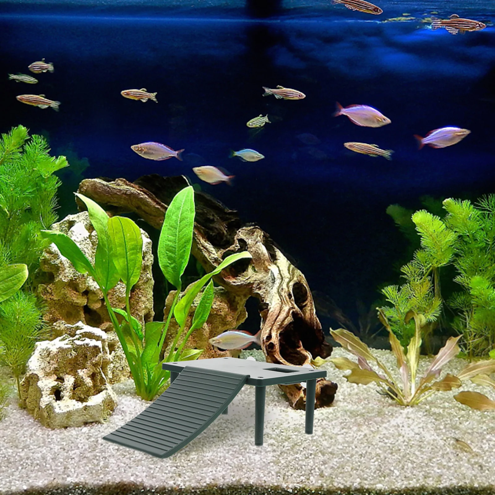 Turtle Basking Platform Eco-Friendly Plastic Reptiles Resting Decorative Tank Accessory Clawing Pet Green Color
Turtle Basking Platform Eco-Friendly Plastic Reptiles Resting Decorative Tank Accessory Clawing Pet Green Color