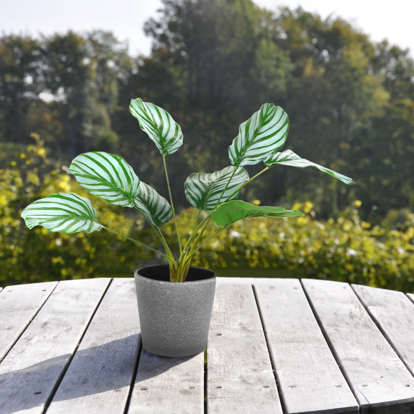 Green Plant Bonsai Decoration Greenery Simulated Palm Plastic Artificial Potted
Green Plant Bonsai Decoration Greenery Simulated Palm Plastic Artificial Potted