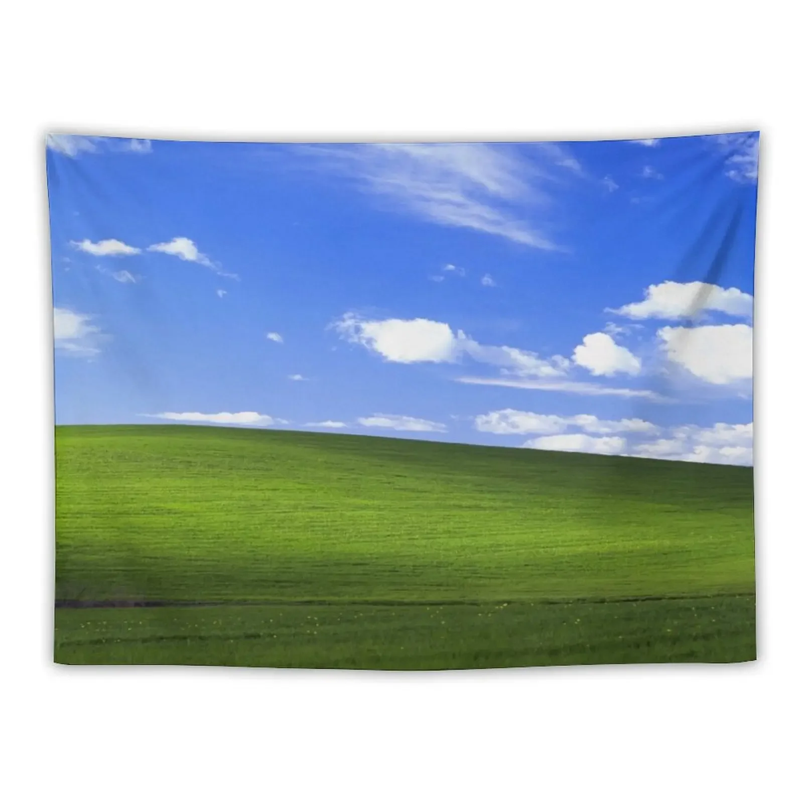 Blissful Field Tapestry Wall Decor Hanging Home Decorators Nordic Home Decor Decoration For Bedroom Tapestry 
Blissful Field Tapestry Wall Decor Hanging Home Decorators Nordic Home Decor Decoration For Bedroom Tapestry