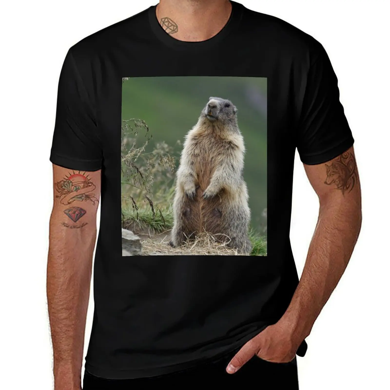 Футболка Marmota Marmota, футболка на заказ, футболки с рисунком рэпера, летние топы, мужские футболки с чемпионами
Футболка Marmota Marmota, футболка на заказ, футболки с рисунком рэпера, летние топы, мужские футболки с чемпионами