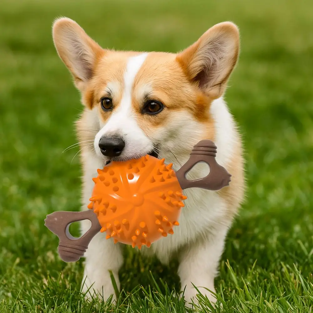Bite Resistant Dog Teething Stick Soft TPR Dog Bone Molar Ball with Raised Dots Gnawing Training Toy Self Amusement
Bite Resistant Dog Teething Stick Soft TPR Dog Bone Molar Ball with Raised Dots Gnawing Training Toy Self Amusement
