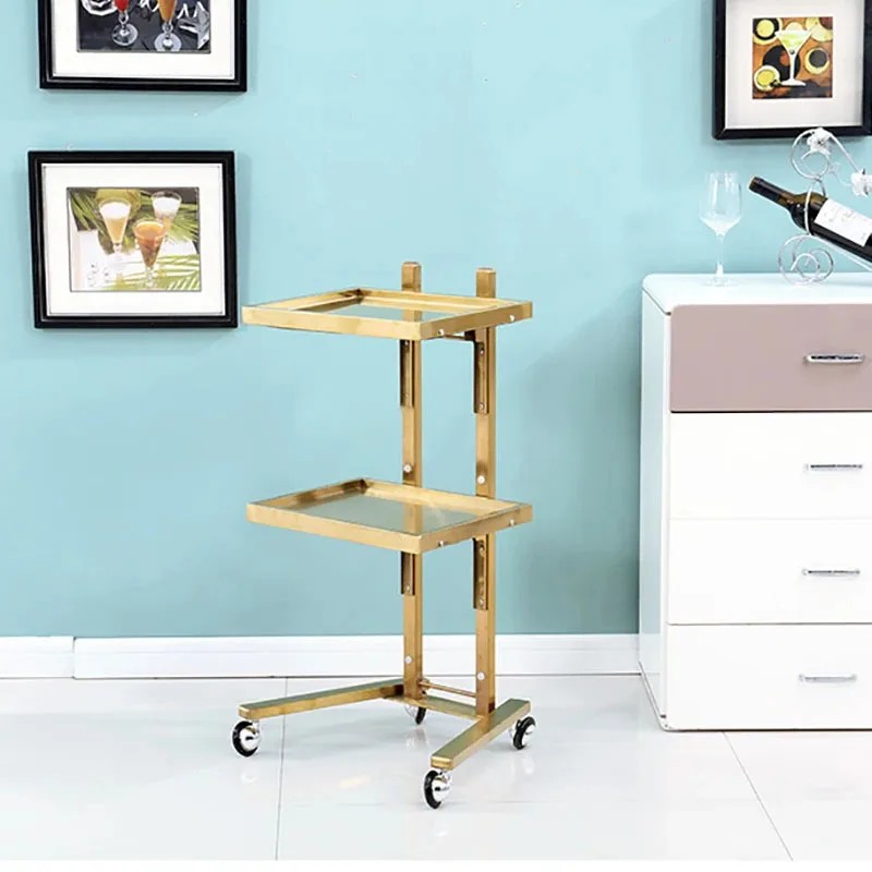 Light Luxury Stainless Steel Salon Trolleys Simple Salon Furniture Beauty Salon Folding Tool Cart Japanese Home Rack with Wheels
Light Luxury Stainless Steel Salon Trolleys Simple Salon Furniture Beauty Salon Folding Tool Cart Japanese Home Rack with Wheels