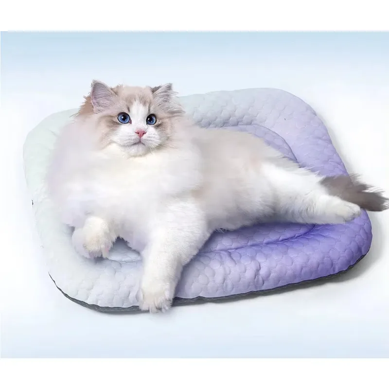 Summer 3D Cooling Mat Gel Ice Pad Pet Bed for Cats Dogs Breathable Home Kennel Crate Pad
Summer 3D Cooling Mat Gel Ice Pad Pet Bed for Cats Dogs Breathable Home Kennel Crate Pad