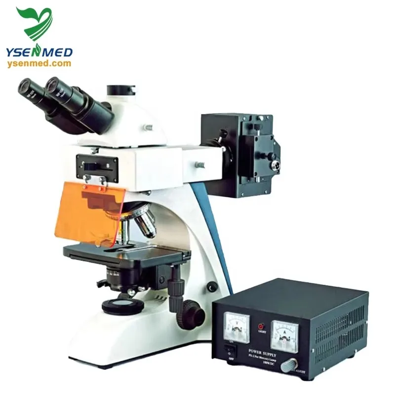 YSXWJ-FL2 Ysenmed Laboratory Binoculart Price Medical Lab Binocular Microscope
YSXWJ-FL2 Ysenmed Laboratory Binoculart Price Medical Lab Binocular Microscope