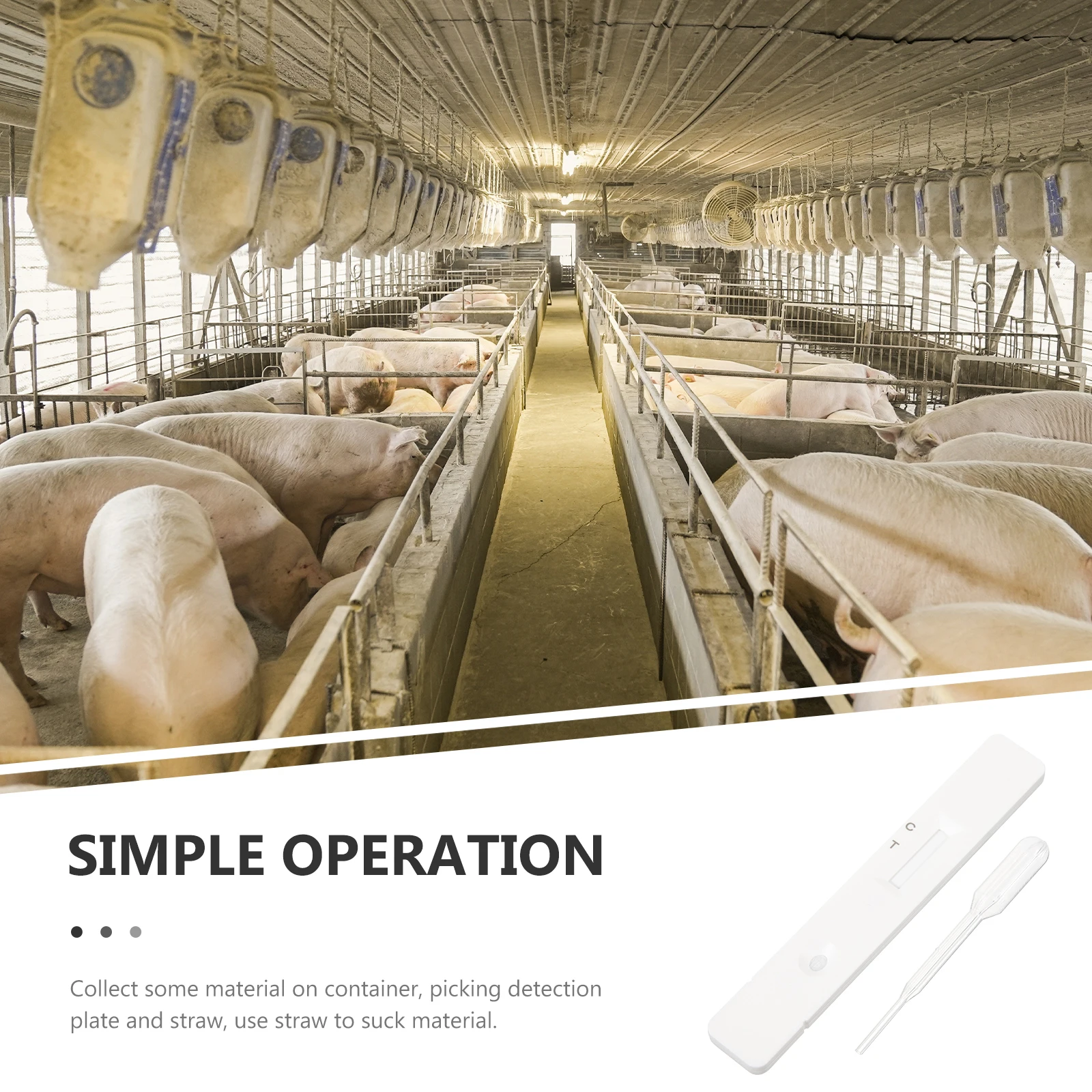 1 Set Farm Sow Pregnancy Small Size Lightweight High Accuracy For Early Detection Sow Breeding Supplies Farm Testing
1 Set Farm Sow Pregnancy Small Size Lightweight High Accuracy For Early Detection Sow Breeding Supplies Farm Testing