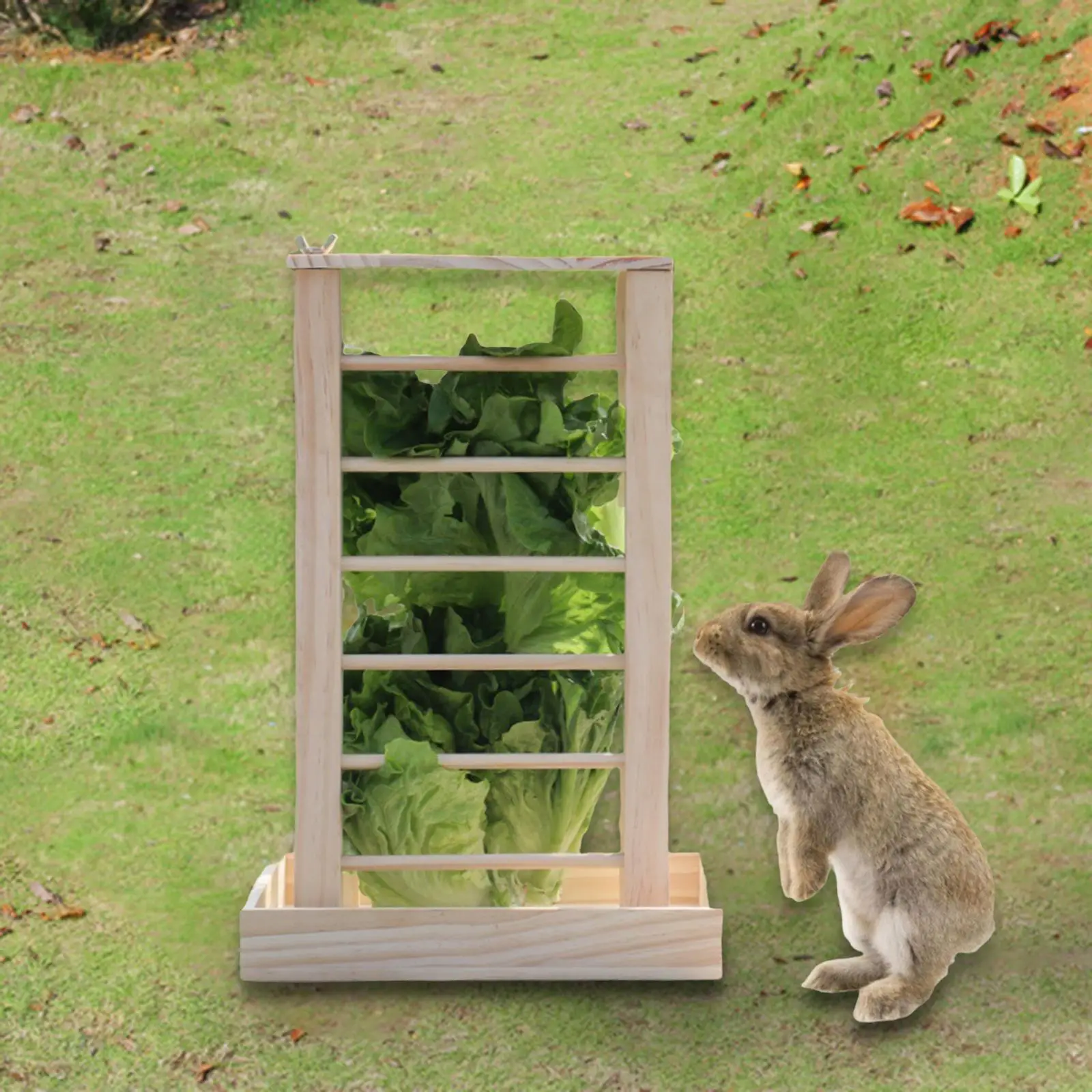 Wooden Hay Feeder Easy to Assemble Chinchilla Hay Bin for Pet Cage Supplies
Wooden Hay Feeder Easy to Assemble Chinchilla Hay Bin for Pet Cage Supplies