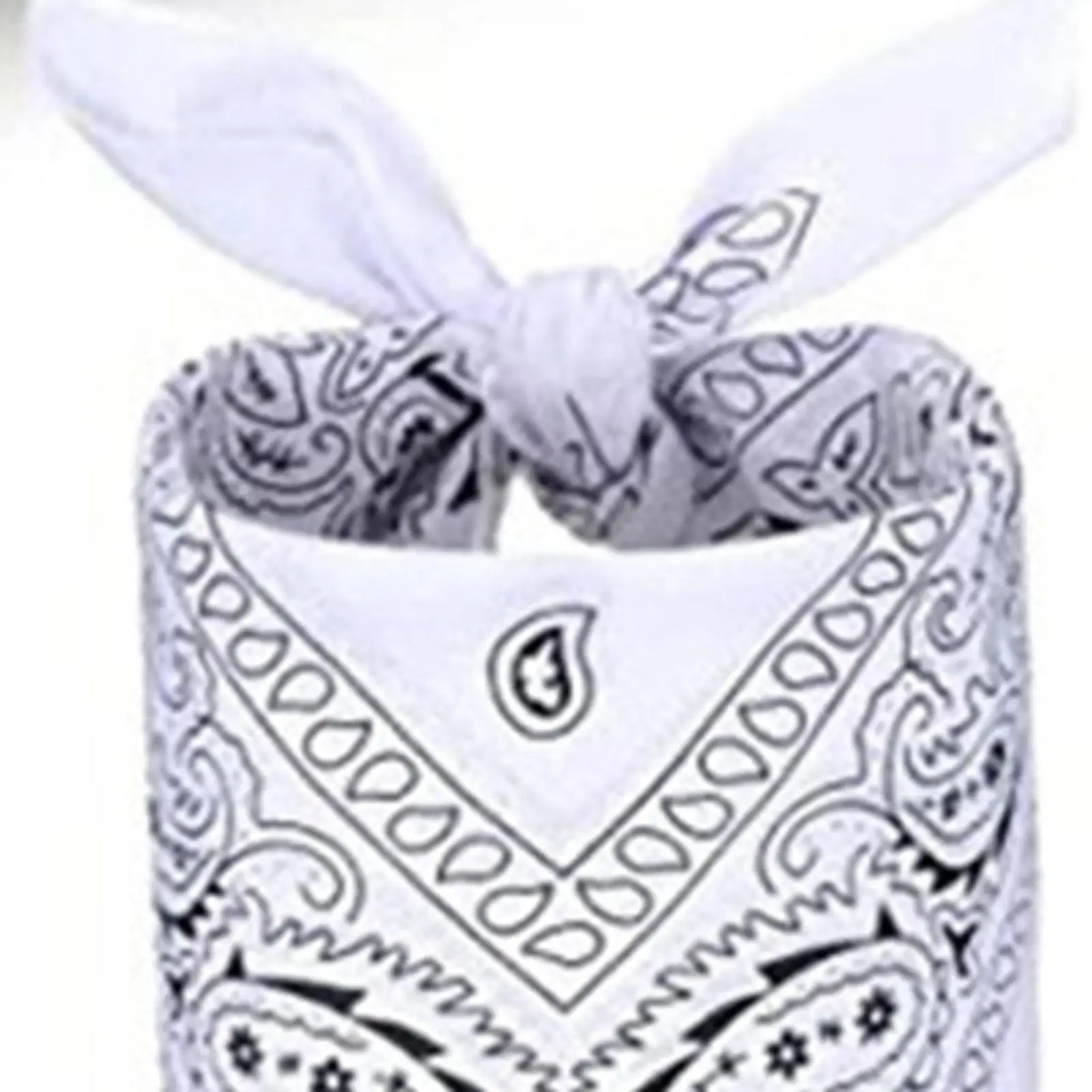 Cowboy Hat with Bandanna Sun Protection Hats Cowgirl Hat for Performance Costume
Cowboy Hat with Bandanna Sun Protection Hats Cowgirl Hat for Performance Costume