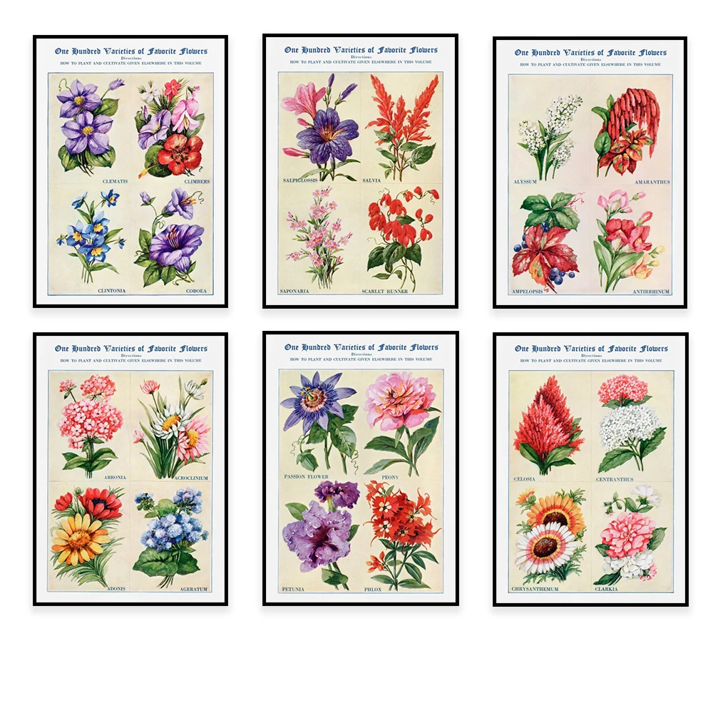 Vintage floral print, 19th century British-born American artist Thomas E. Hill, floral watercolor illustration decorative poster
Vintage floral print, 19th century British-born American artist Thomas E. Hill, floral watercolor illustration decorative poster