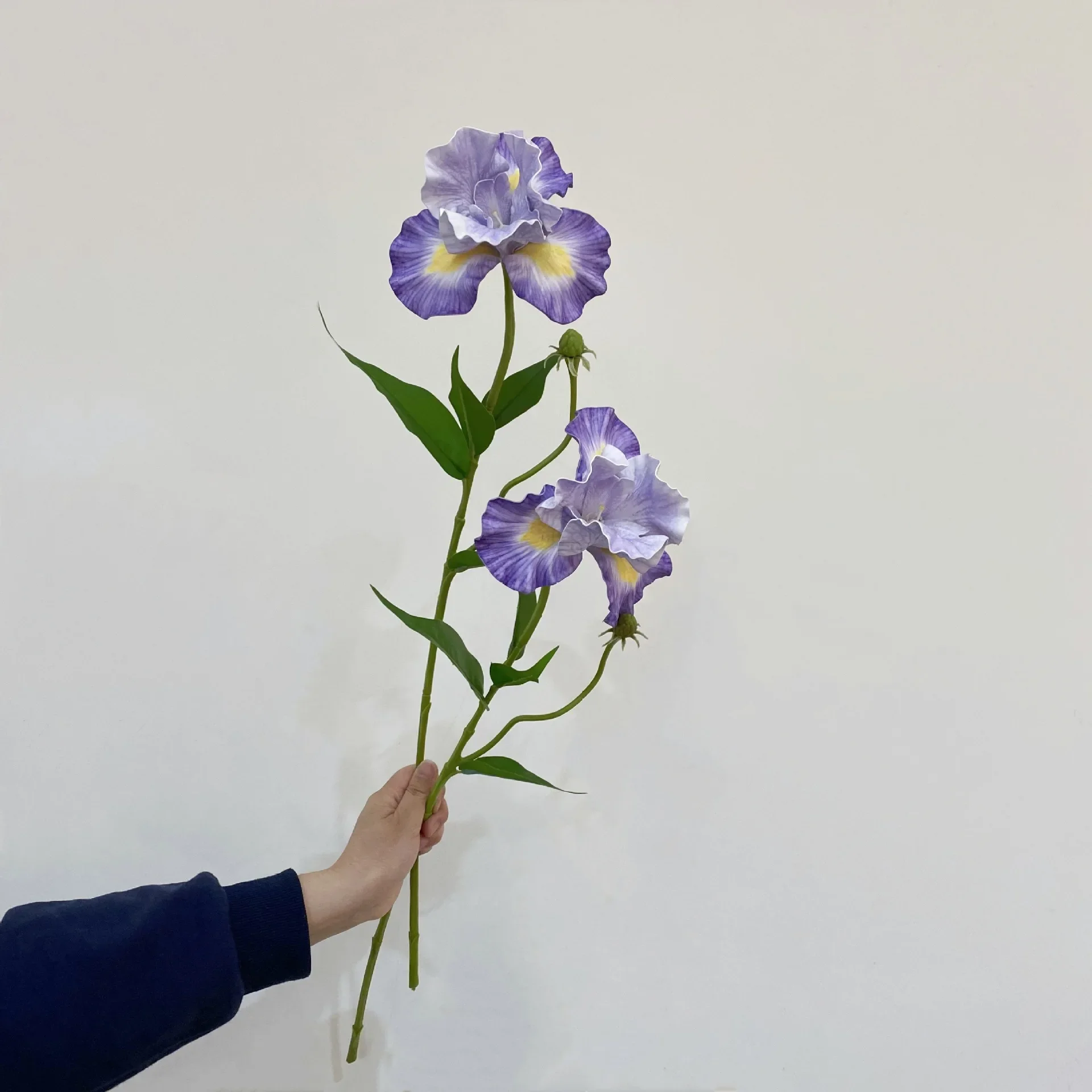 5 шт. большие искусственные цветы из пены ирис, свадебный декор, цветочная композиция, аксессуары для украшения дома, вечерние цветочный букет
5 шт. большие искусственные цветы из пены ирис, свадебный декор, цветочная композиция, аксессуары для украшения дома, вечерние цветочный букет