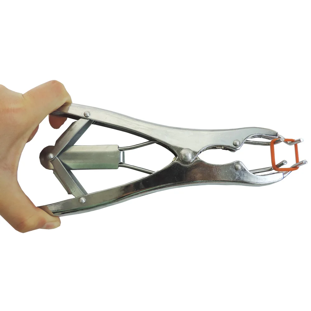 2025 Pig Sheep Goat Cow Cattle Dog Forceps Rubber Ring Expansion Pliers Forceps Pliers
2025 Pig Sheep Goat Cow Cattle Dog Forceps Rubber Ring Expansion Pliers Forceps Pliers