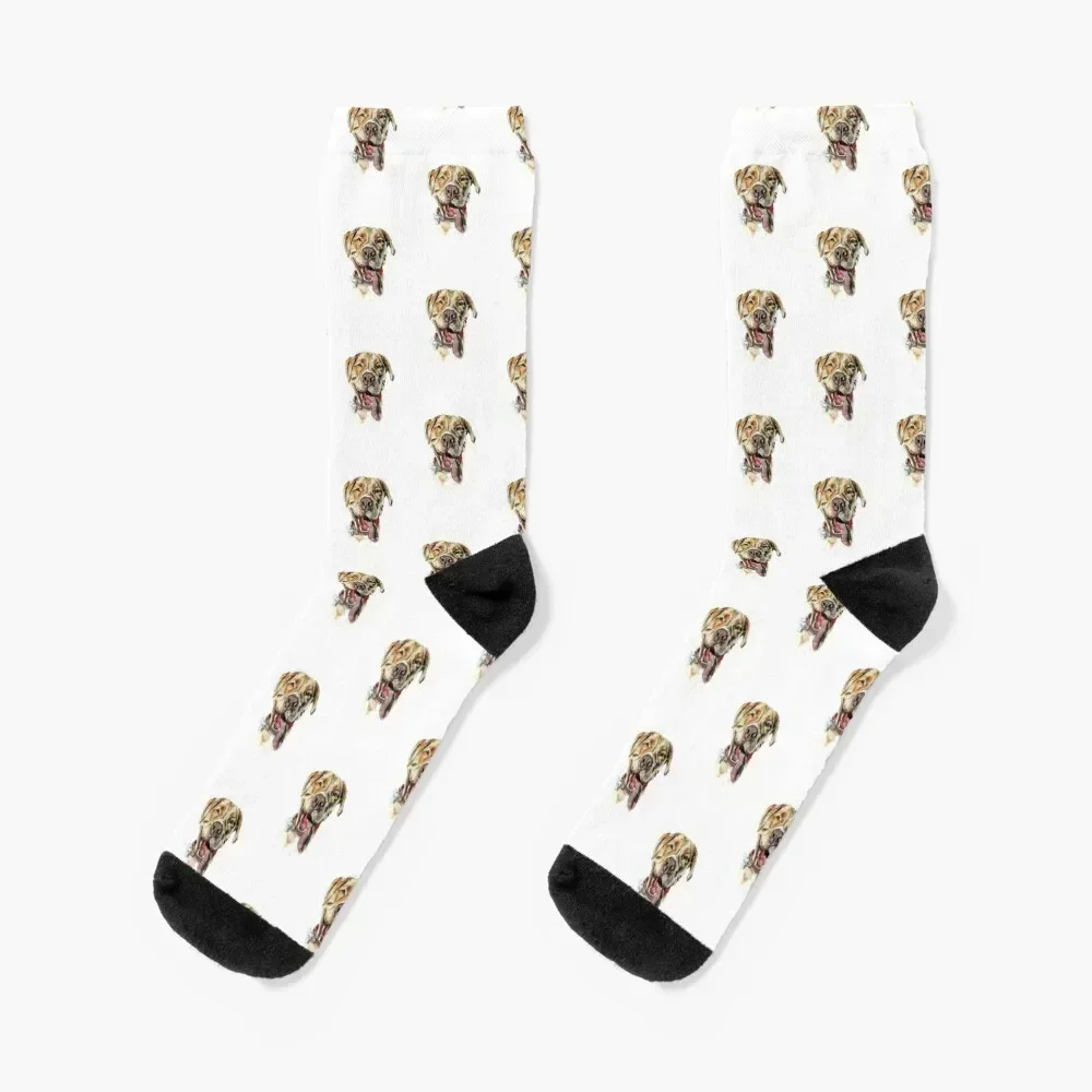 Pitbull Mix Original Watercolor Painting Socks Sports men cotton high quality Soccer Socks Women Men's
Pitbull Mix Original Watercolor Painting Socks Sports men cotton high quality Soccer Socks Women Men's