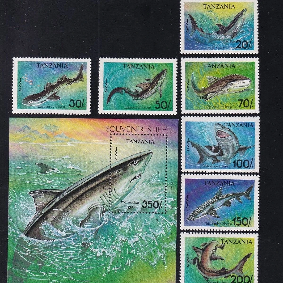 Почтовые марки Танзании 1993 года: Ангельская акула, акула-молот, полный набор из 8 новых марок MNH, коллекционные почтовые марки, материалы для скрапбукинга
Почтовые марки Танзании 1993 года: Ангельская акула, акула-молот, полный набор из 8 новых марок MNH, коллекционные почтовые марки, материалы для скрапбукинга