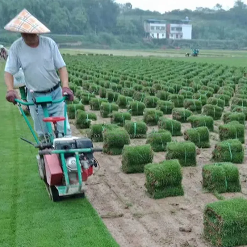 Best Selling Turfing Machine Can Replace Manual Turfing Work Green Lawn Cutting and Drafting Machine
Best Selling Turfing Machine Can Replace Manual Turfing Work Green Lawn Cutting and Drafting Machine
