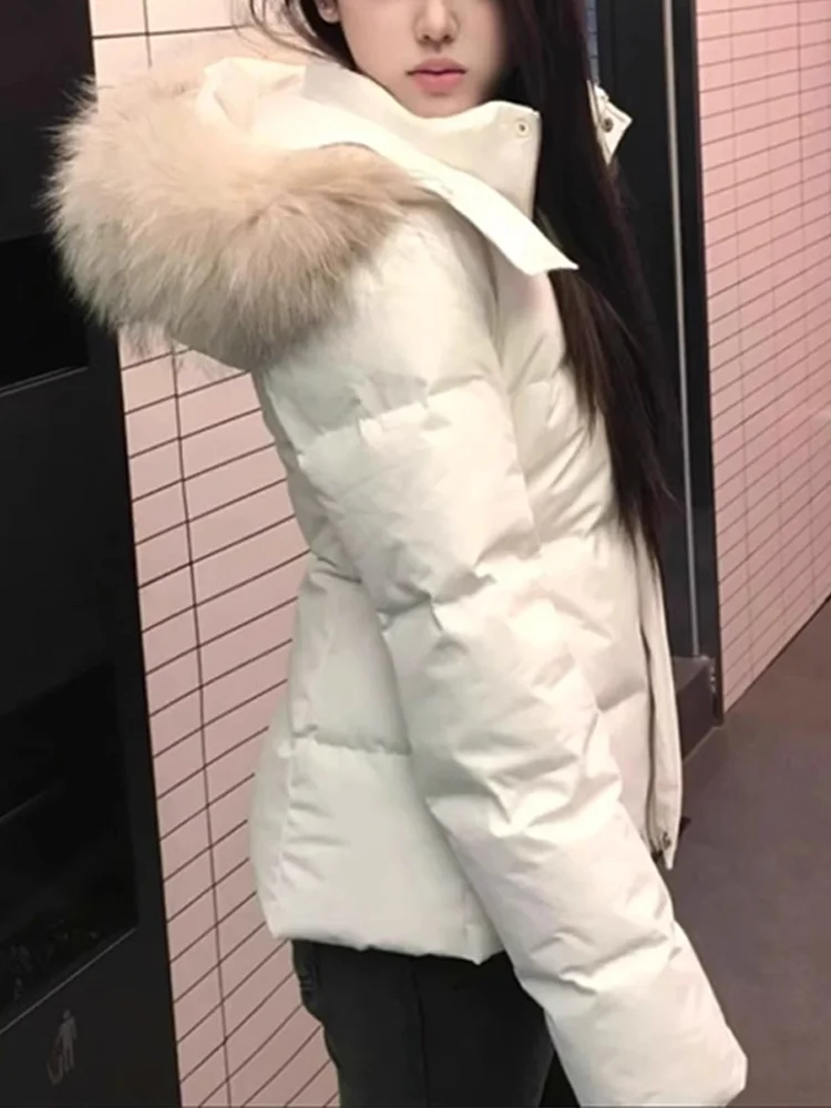 Женская хлопковая утепленная куртка с завязками на талии, теплая зимняя верхняя одежда, повседневная свободная модель с круглым вырезом и одной пуговицей
Женская хлопковая утепленная куртка с завязками на талии, теплая зимняя верхняя одежда, повседневная свободная модель с круглым вырезом и одной пуговицей